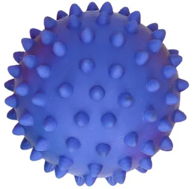 Obrázek produktu pro Modrý masážní míček 1ks 527 65276