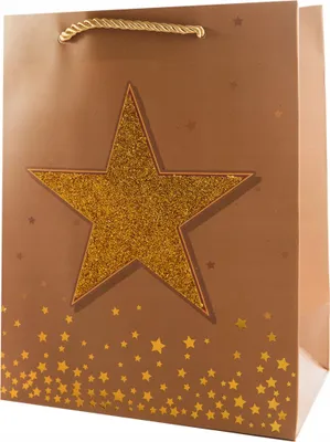 Produktbild von Geschenktüte Stern Design 18x23cm - Stilvolle Papiertragetasche für Geschenke - Bunte Farbauswahl