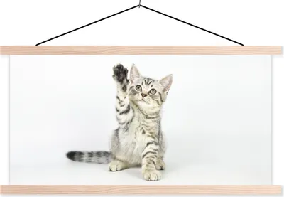 Produktbild von MuchoWow® Textilposter Kätzchen - Pfote - Weiß - Mädchen - Kinder - Jungen - Kind 60x30 cm mit holzfarbenen Rahmen - Dekoration