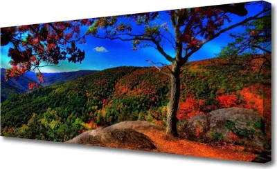 Produktbild von Tulup Leinwand-Bilder 125x50 Wandbild Canvas Kunstdruck Gebirge Wald Natur