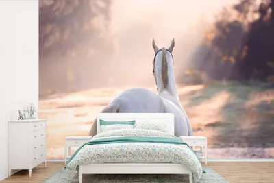 Produktbild von MuchoWow® Fototapete für Wohnzimmer oder Schlafzimmer Wandtapete Vinyl Motivtapete Pferde - Licht - Baum - 360x240 cm - Vinyl-Tapete