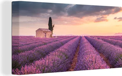 Obrázek produktu pro OneMillionCanvasses® Malba na plátně Nástěnná malba na plátně - Levandule - Květiny - Fialová - Pole - 40x20cm