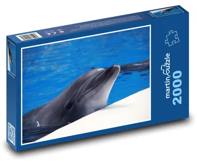 Produktbild von Puzzle 2000 Delphinruhe am Wasser - martinpuzzle