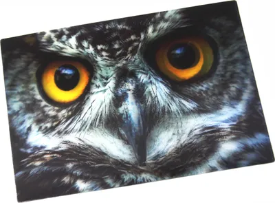 Produktbild von 3 D Ansichtskarte Eulenaugen, Postkarte Wackelkarte Hologrammkarte Tiere Tier Vogel Eule Uhu