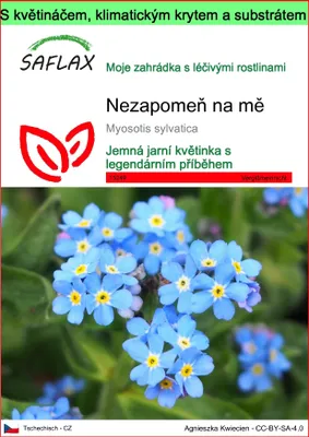 Obrázek produktu pro SAFLAX Garden to go - Nezapomeň na mě - Myosotis sylvatica - 150 Semena - S květináčem, klimatickou poklicí a pěstebním substrátem