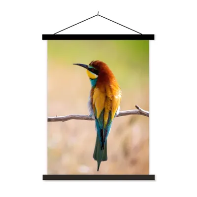 Produktbild von MuchoWow® Textilposter Vögel - Bienenfresser - Tiere 60x80 cm mit schwarzem Rahmen - Plakathalter