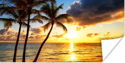 Produktbild von MuchoWow® Poster Strand - Horizont - Sonnenuntergang - Palme - Meer 160x80 cm - Foto Poster