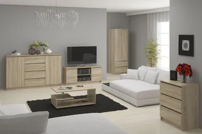 Obrázek produktu pro Televizní skříňka 140 cm, televizní stolek se 2 dvířky, výška 55 cm, hloubka 40 cm, CLP