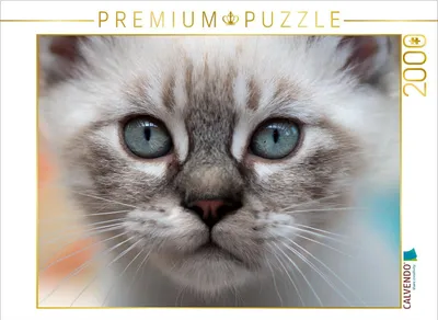 Produktbild von CALVENDO Puzzle Ich seh dich... 2000 Teile Puzzle quer | 2000 Teile Lege-Größe 90x67cm Foto-Puzzle für glückliche Stunden