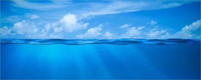 Produktbild von Wallario Poster - Unterwasserwelt Meer, Kunstdruck Größe: 80 x 200 cm