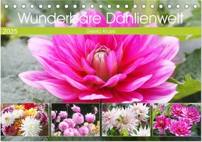 Produktbild von Wunderbare Dahlienwelt (Tischkalender 2025 DIN A5 quer), CALVENDO Monatskalender