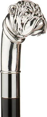 Produktbild von Eleganter Gehstock mit Griff Bulldogge mit Silber bezieht - Spazierstock zur Hochzeit oder Feier - H. 93 cm