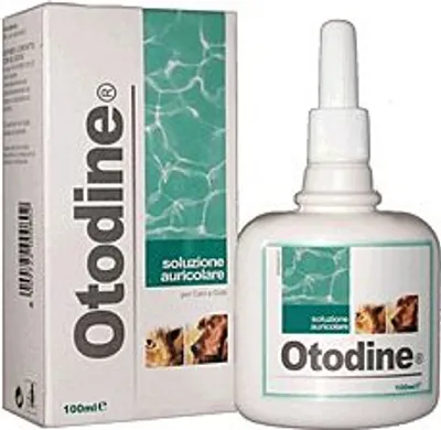 Immagine prodotto di Otodina 100Ml