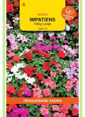 Productafbeelding van Oranjebloem (Impatiens walleriana) 'Bellizzy F1' - mengbloeiende variant - 1 zakje zaden