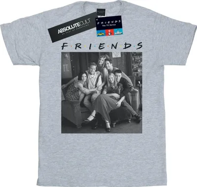Produktbild von Friends - T-Shirt für Herren BI26312 (XXL) (Grau)