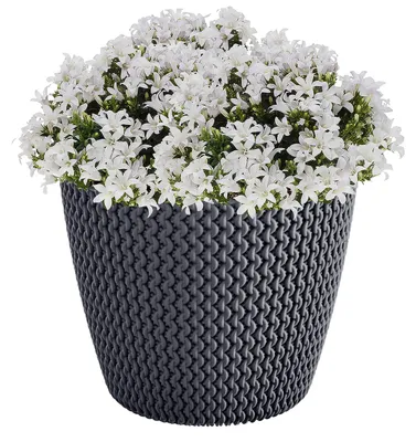 Produktbild von Prosperplast Blumentopf - anthrazitgrau - D35 x 29 cm