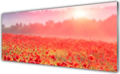 Produktbild von Küchenrückwand aus Glas 125x50cm Spritzschutz Wiese Blumen Natur
