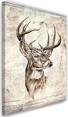 Produktbild von Leinwandbild hirsch 1-teilige skizze 80x120 cm Feeby grau wandbild bereit zum aufhängen