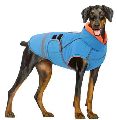 Produktbild von Wasserdichter Hundemantel mit Leinenöffnung Blau L