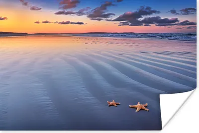 Produktbild von MuchoWow® Poster Seestern - Wasser - Wolke 120x80 cm - Bilder