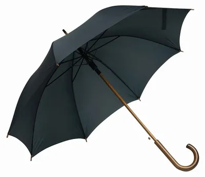 Image de L-Merch - Parapluie « Boogie » avec manche en bois LT5442 (89 cm x 103 cm) (bleu foncé)
