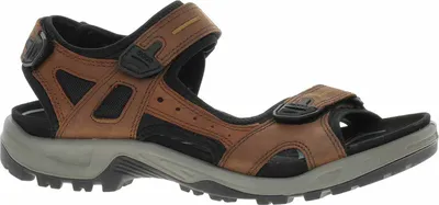 Obrázok produktu pre Pánske sandále Ecco Offroad 06956456401 espresso-cocoa 44