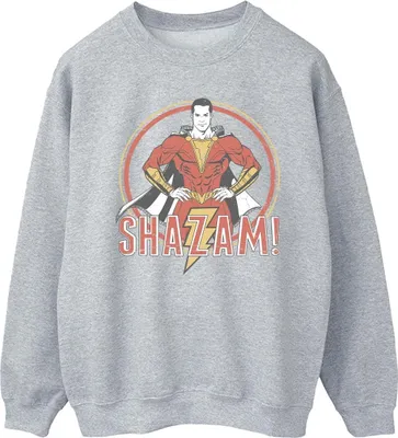 Produktbild von DC Comics - Sweatshirt für Herren BI44530 (XXL) (Grau)
