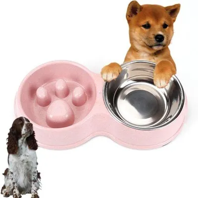 Produktbild von Hochwertige, abnehmbare, doppelte Futter- und Wasserbehälter für Hunde und Katzen aus Edelstahl, antislip-Boden, leckgeschützter Futterbehälter für Hunde, Welpen und Katzen, rosa