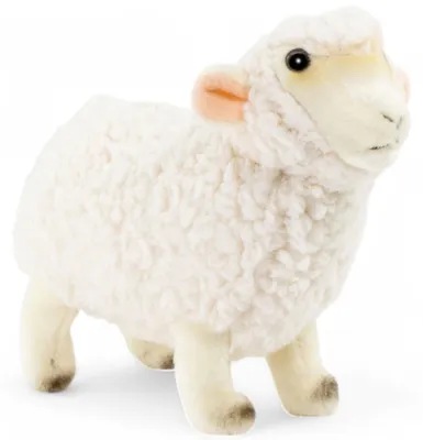 Immagine prodotto di Pecora Carl Dick bianca, agnello di circa 21 cm, peluche, peluche, peluche 3714