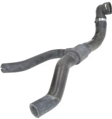 Produktbild von THERMOTEC Kühlerschlauch Wasserschlauch für FIAT PUNTO (188) DWF202TT