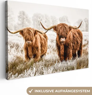Produktbild von Wanddeko 90x60 cm - Schottisches Hochlandrind - Kuh - Natur - Winter, Deko Wohnzimmer, Leinwand Bilder