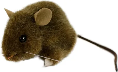 A stuffed toy mouse on a white background.