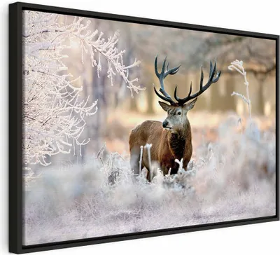 Produktbild von Italienischer Leinwand Leinwandbild - Deer in the Cold 60x40 cm Tiere g-C-0057-b-b