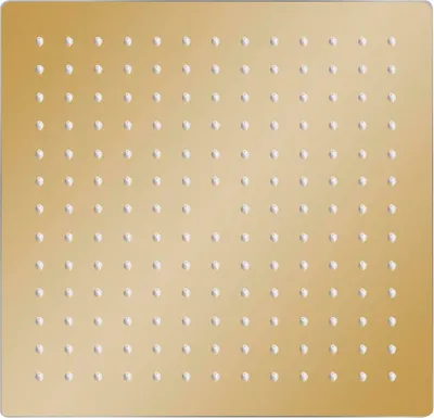Obrázok produktu pre vidaXL dažďová sprcha z nehrdzavejúcej ocele 25x25 cm štvorcová zlatá