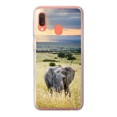 Produktbild von MuchoWow® Handyhülle Schutzhülle Hülle für Samsung Galaxy A20e Elefant - Tiere - Landschaft - Sonne - Natur Silikon Softcase Handy Hülle - Abdeckung