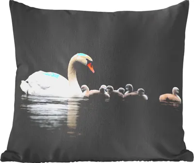 Produktbild von MuchoWow® Zierkissen Sofakissen Wohnzimmer Dekokissen 45x45 cm Vögel - Schwan - Küken - Schlafpolster - Polster für das Sofa