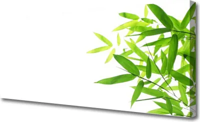 Produktbild von Tulup Leinwand-Bilder 125x50 Wandbild Canvas Kunstdruck Blätter Pflanzen