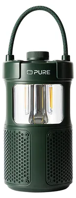 Produktbild von Pure 252584, 2-Wege, 3,81 cm, 20 W, Kabellos, USB Typ-C, Grün