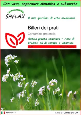 Immagine prodotto di SAFLAX Garden to go - Billeri dei prati - 100 semi - Cardamine