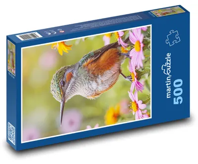 Obrázek produktu pro martinpuzzle - Puzzle 500 - Pták