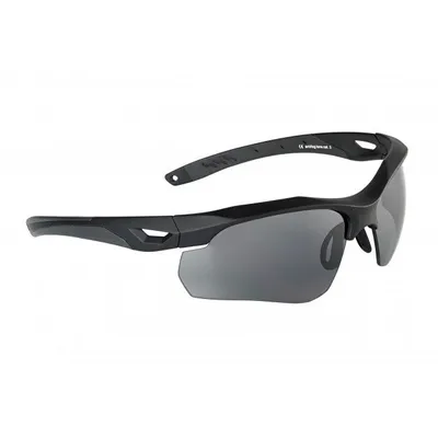 Image de Swisseye Schutzbrille Skyray rubber black