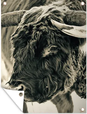 Produktbild von MuchoWow® 30x40 cm Outdoor-Poster Gartendeko Sichtschutz Garten Poster für den Garten  Schottischer Highlander - Schnee - Hörner