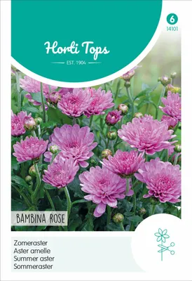 Artikelbild 2 von 'Sommeraster Bambina Rose' aus der Kategorie Asternsamen