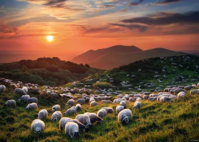 Obrázek produktu pro HEYE Puzzle Ovce a sopky 1000 dílků