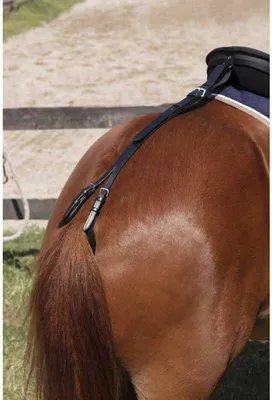 Zdjęcie produktu dla Norton Equestrian Croup Silver Cob Silver Cob