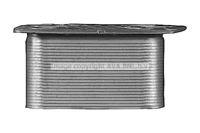 Produktbild von PRASCO DZ3044 Ölkühler Motoröl