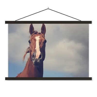 Produktbild von MuchoWow® Textilposter Pferd - Wolken - Porträt 150x100 cm mit schwarzem Rahmen - Schlafzimmer