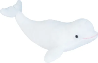 A plush toy beluga whale on a white background.