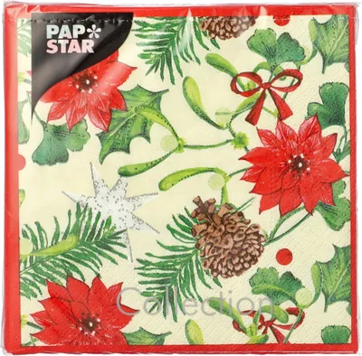 Image de Papstar serviettes Winterly