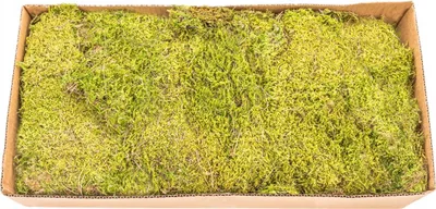 Produktbild von Moos Platten natur 0,5kg | Lappenmoos